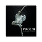 Esteam Ballet shower steamer close-up